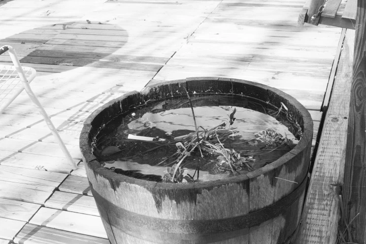 Light and Ice in Planter Pot